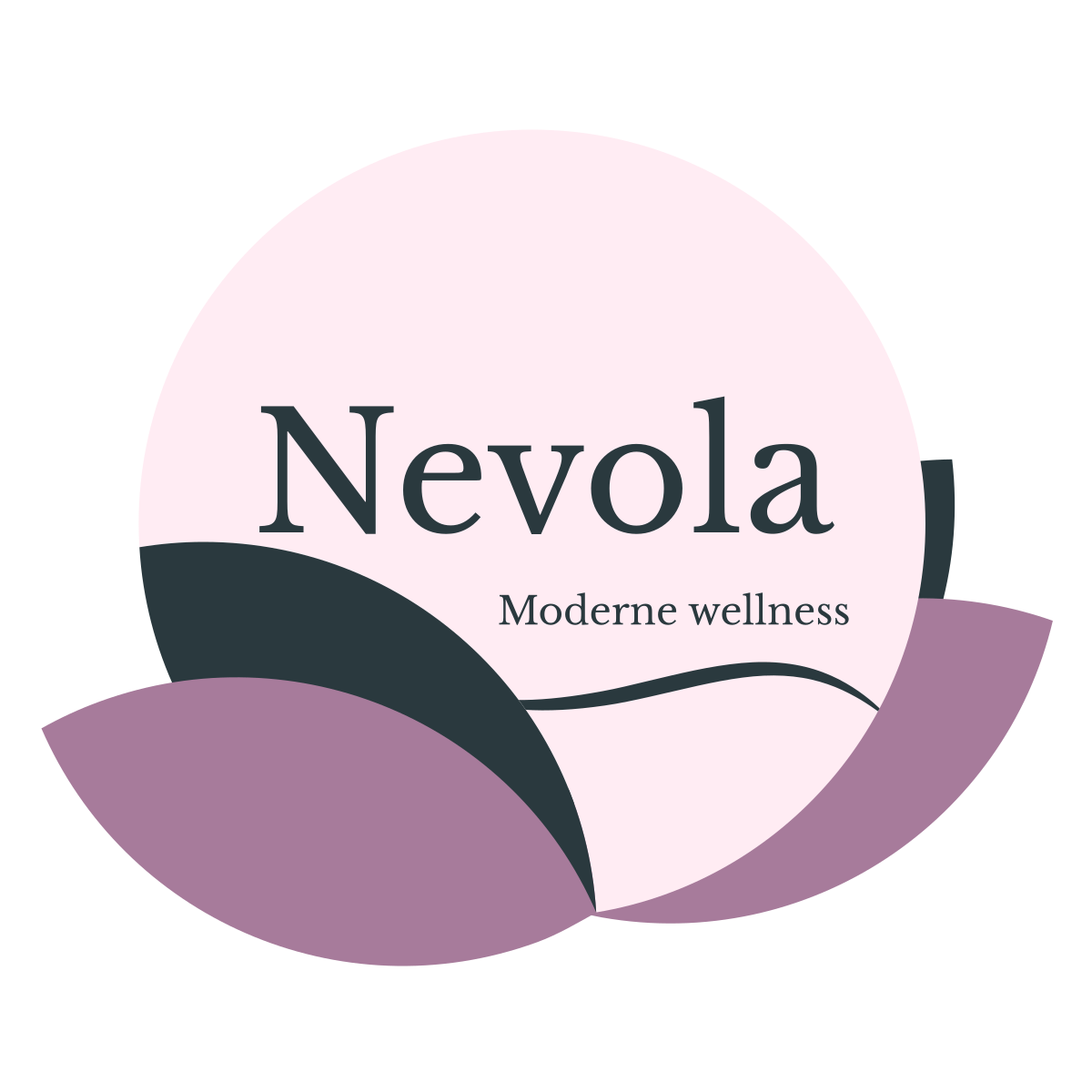 Nevola logo transparent